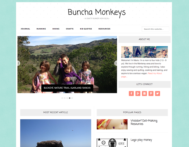Buncha Monkey's